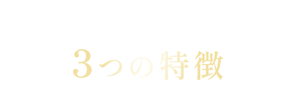 オンラインエステプログラム３つの特徴